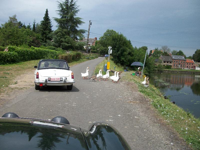 MG DAY 2010, georganiseerd  door MG Club Belgique Sud (87).JPG